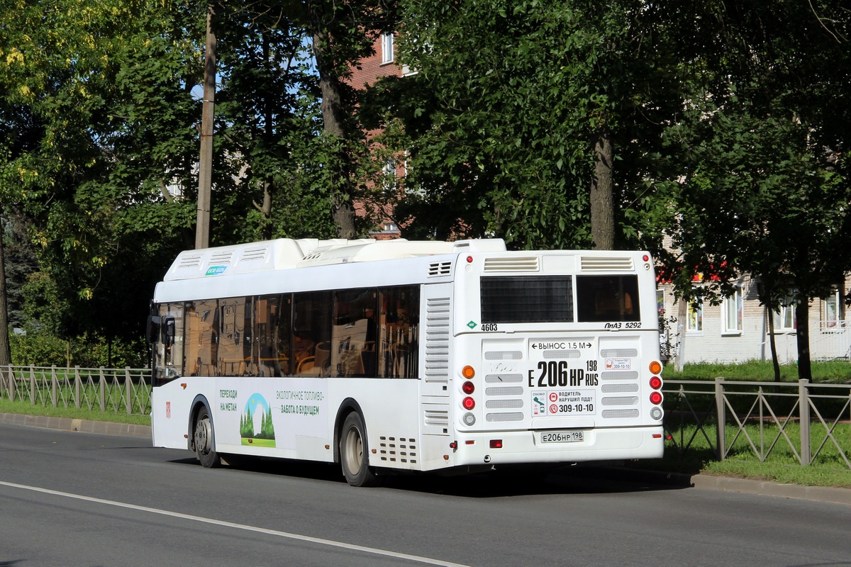 Санкт-Петербург, ЛиАЗ-5292.67 (CNG) № 4603