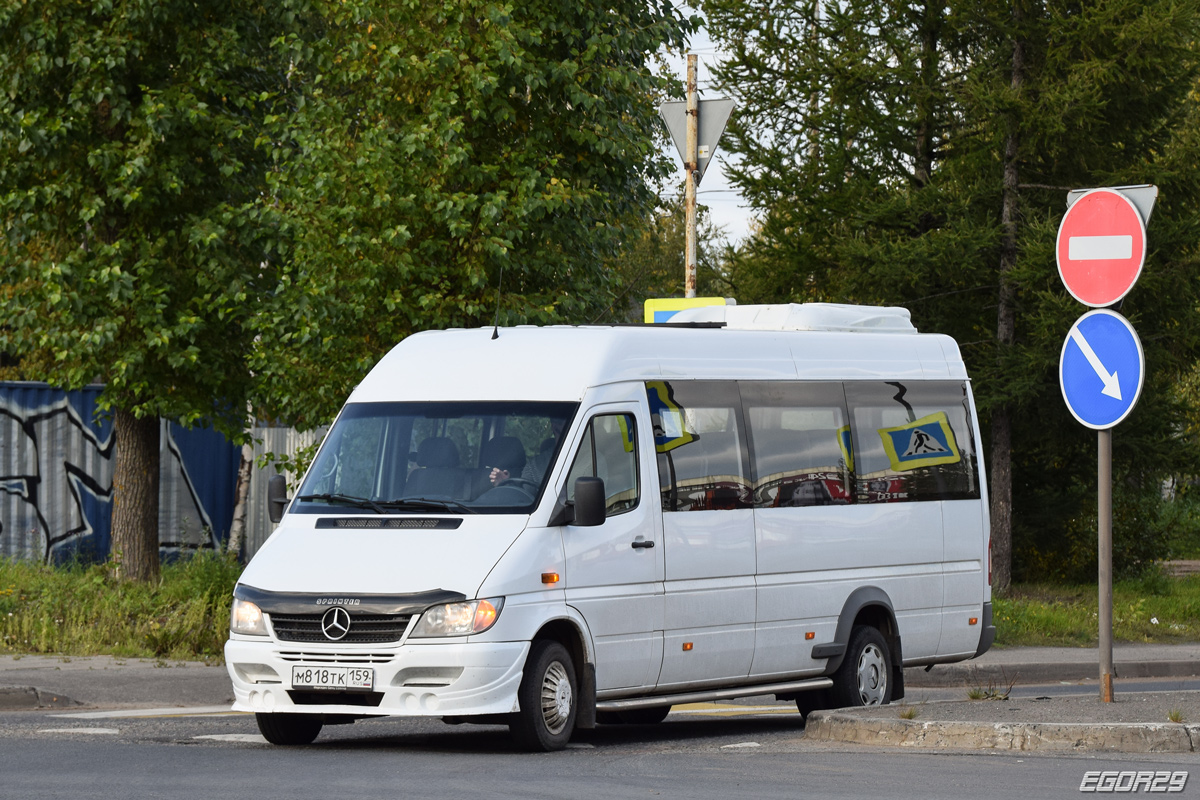 Архангельская область, Луидор-223203 (MB Sprinter Classic) № М 818 ТК 159