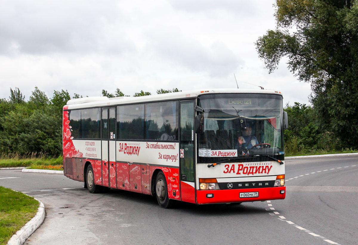 Калининградская область, Setra S315UL № Р 060 МК 39