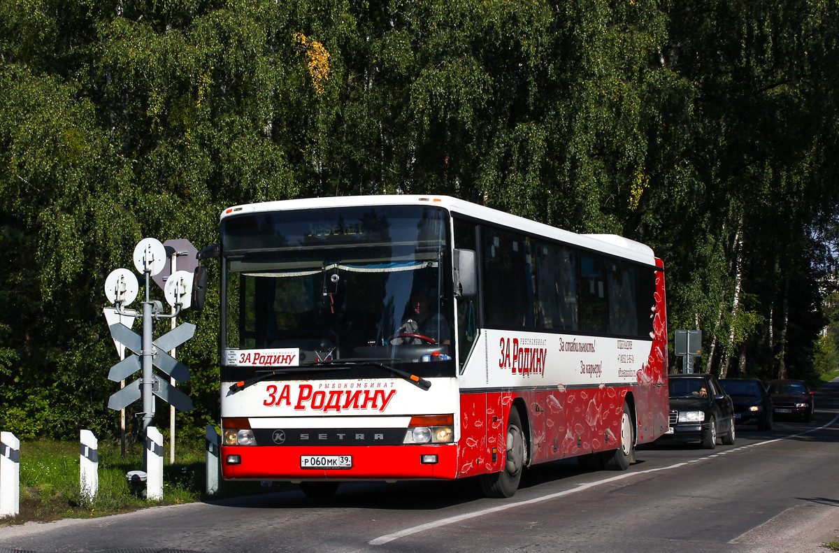 Калининградская область, Setra S315UL № Р 060 МК 39