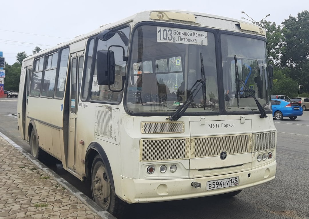 Приморский край, ВСА30331 (ПАЗ-4234) № В 594 НУ 125