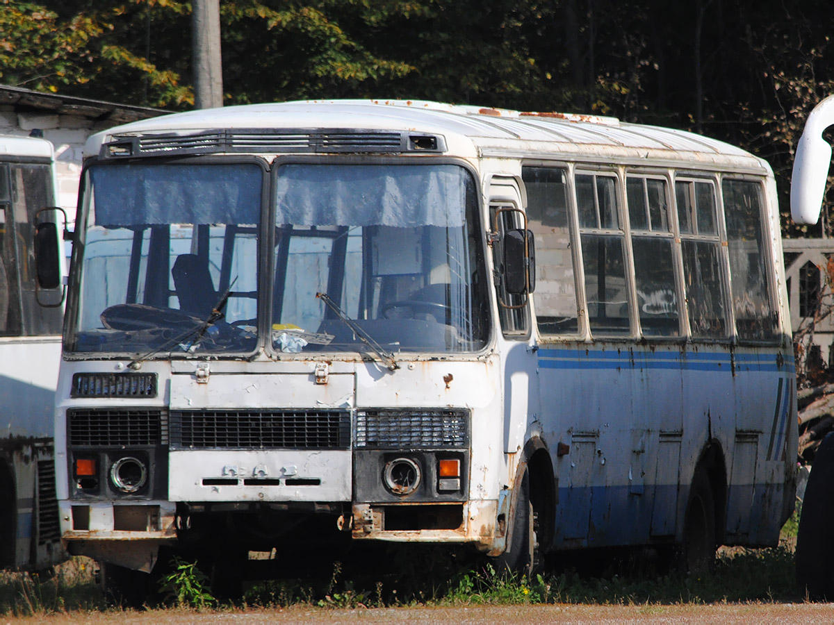 Брянская область, ПАЗ-4234 № М 232 МР 32