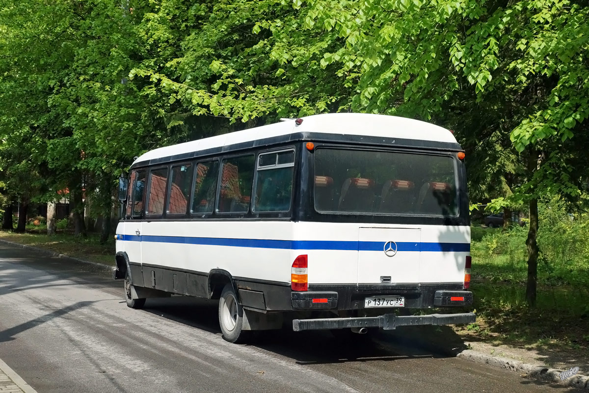 Калининградская область, Mercedes-Benz O309D № Р 137 УС 39 Калининградская область, Mercedes-Benz O309D № Р 137 УС 39