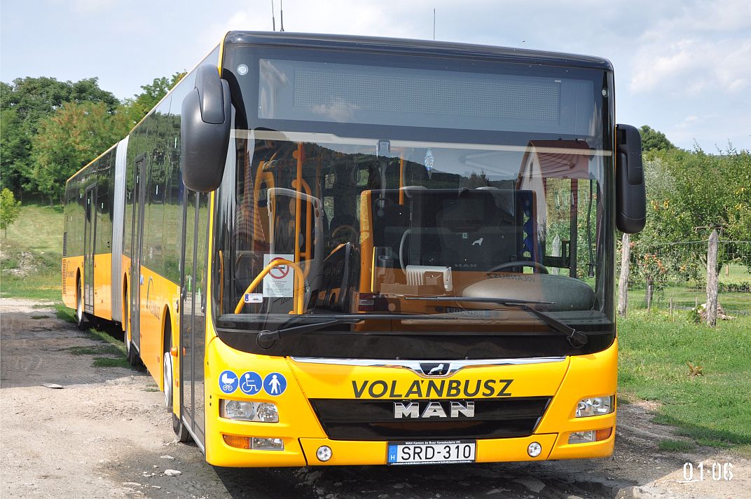 Венгрия, MAN A23 Lion's City G NG363 № SRD-310