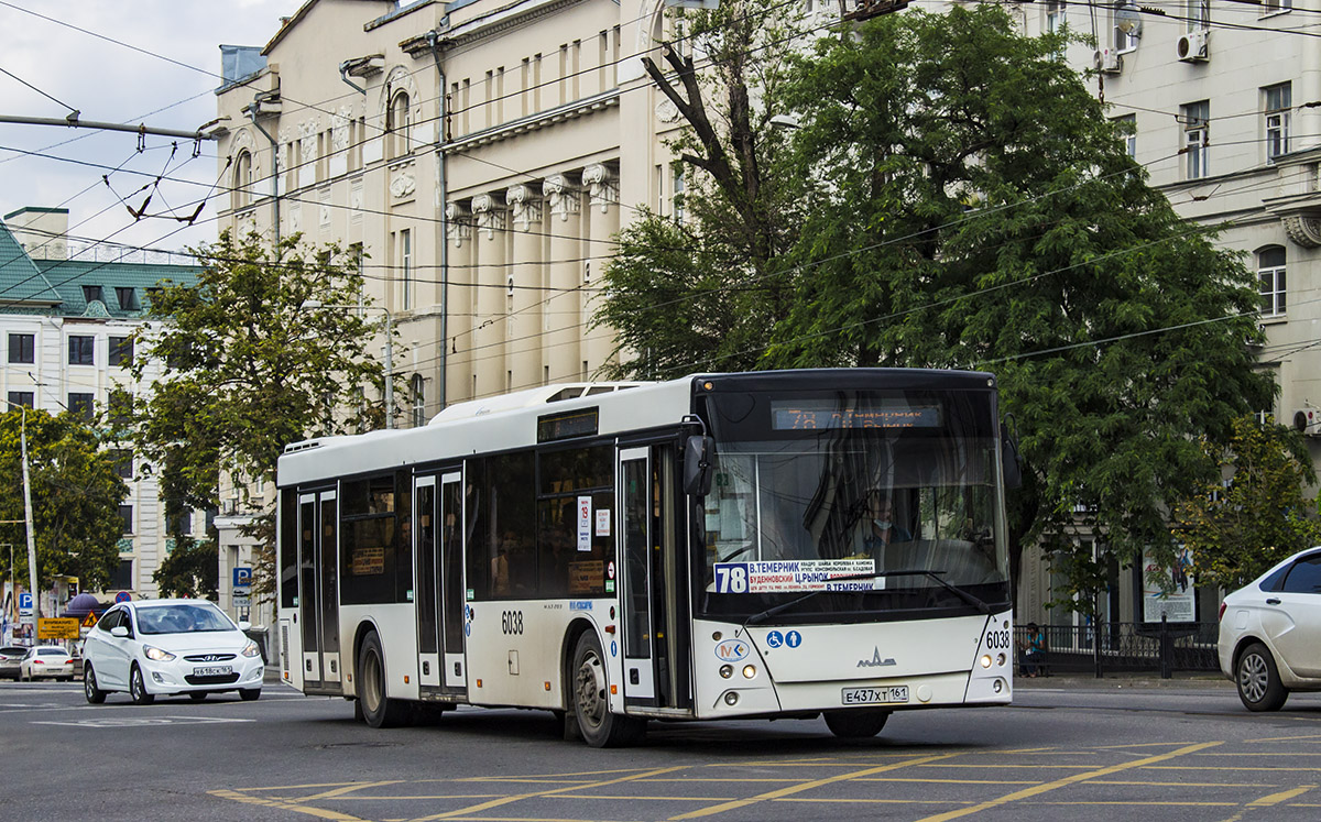 Ростовская область, МАЗ-203.069 № 6038