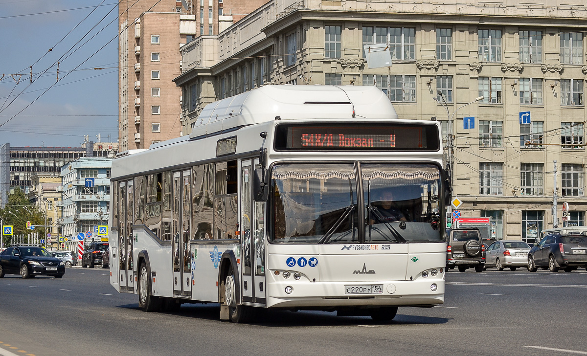 Новосибирская область, МАЗ-103.965 № 11011