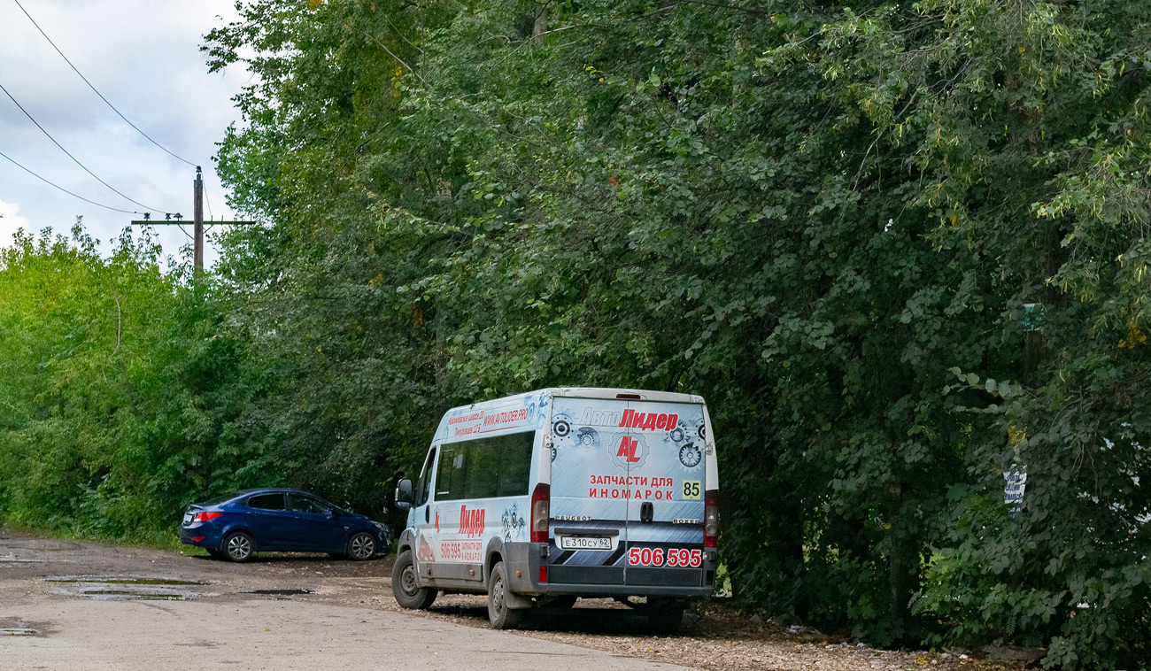 Ryazan region, Rosvan Avtoline (Peugeot Boxer) # Е 310 СУ 62