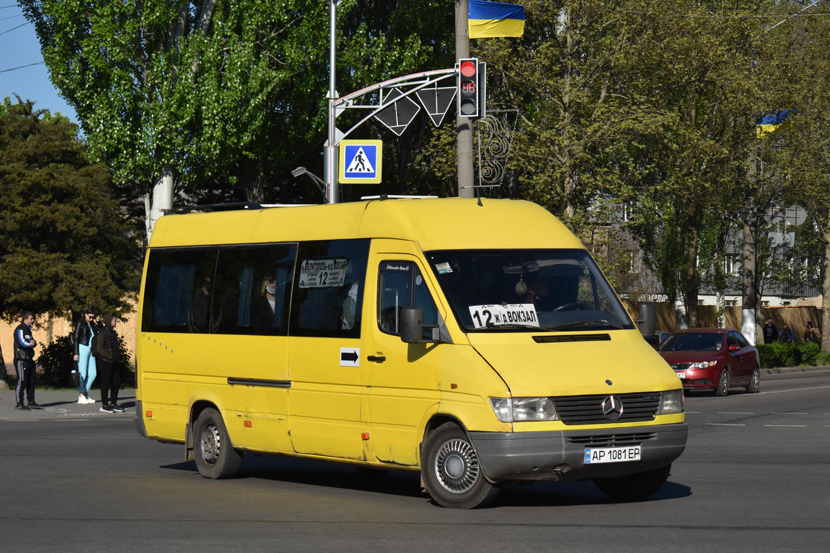Запорожская область, Mercedes-Benz Sprinter W903 312D № AP 1081 EP
