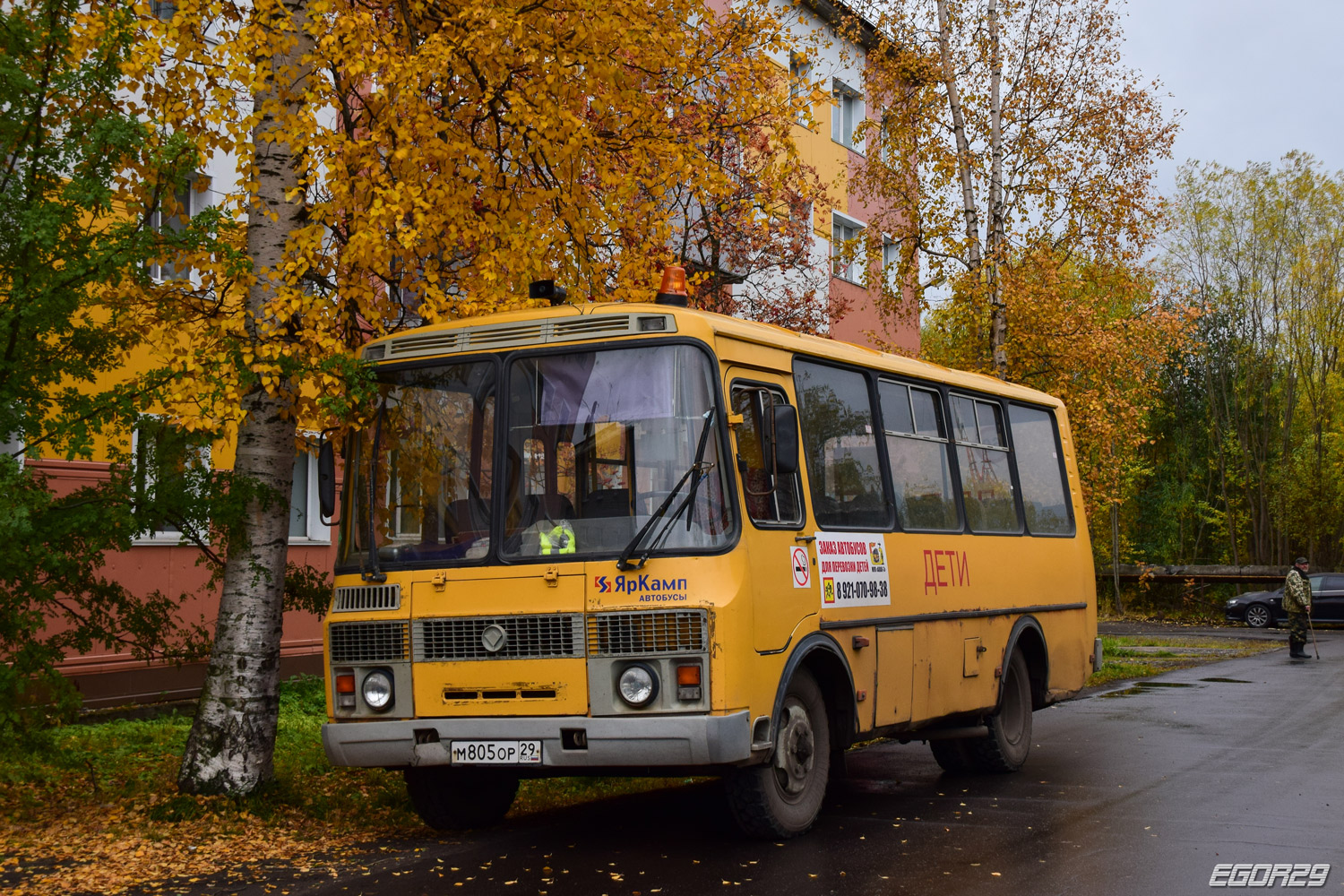 Архангельская область, ПАЗ-32053 № М 805 ОР 29