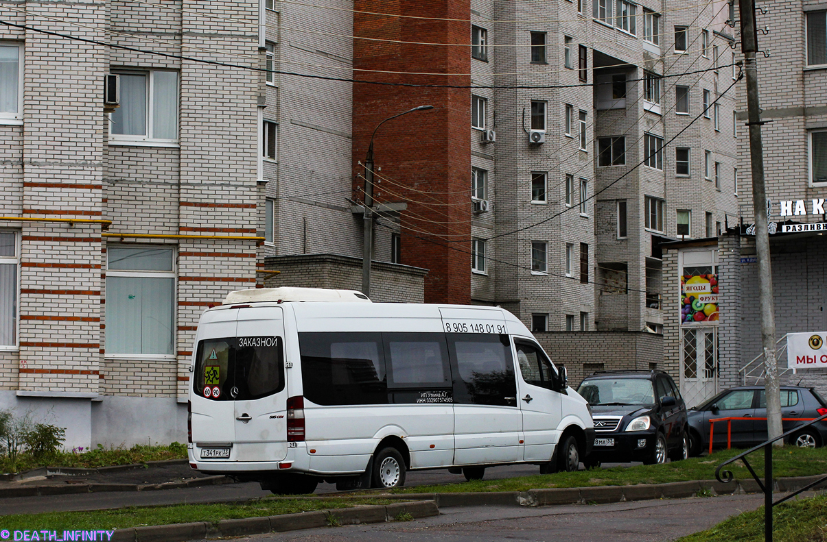 Владимирская область, Луидор-22360C (MB Sprinter) № Т 341 РК 33