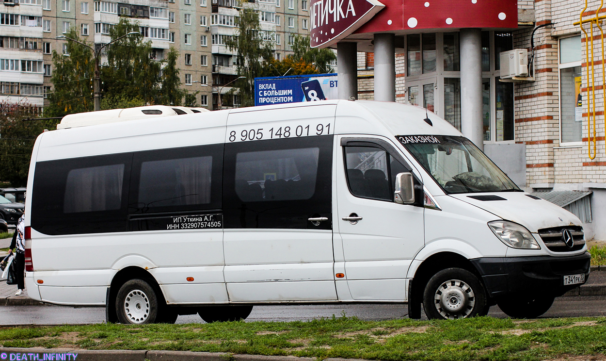 Владимирская область, Луидор-22360C (MB Sprinter) № Т 341 РК 33