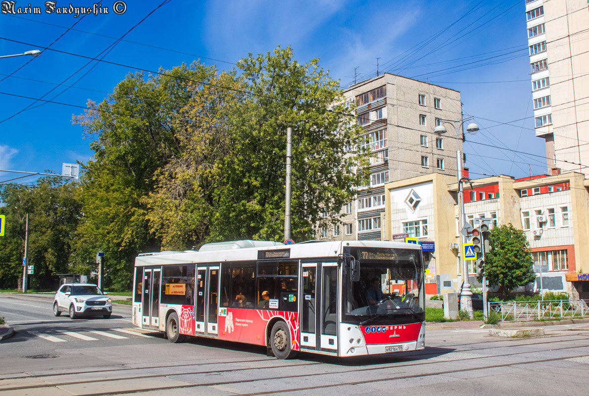 Пермский край, МАЗ-203.016 № Н 921 ЕН 159