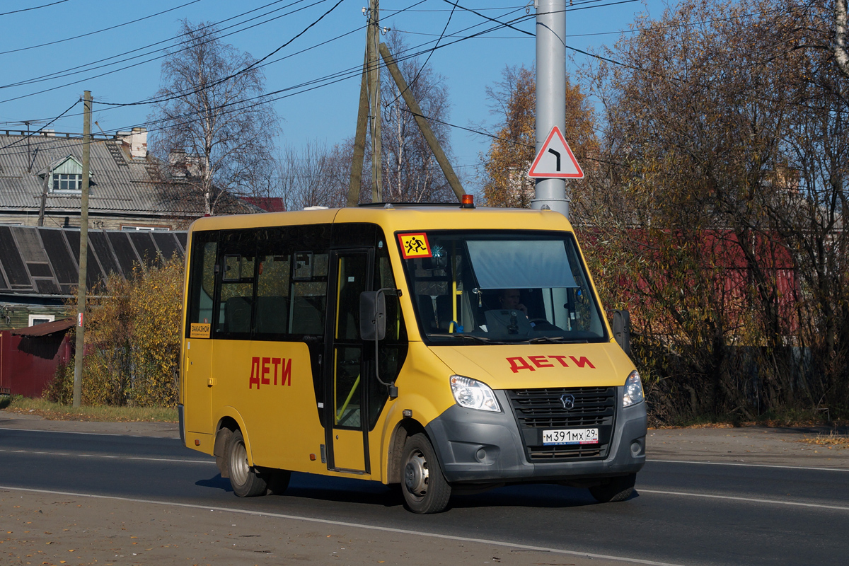 Архангельская область, Луидор-2250N9 (ГАЗ Next) № М 391 МХ 29