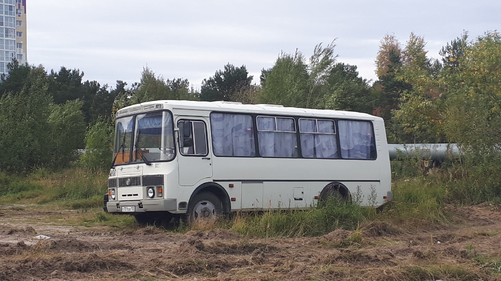 Ханты-Мансийский АО, ПАЗ-32054 № 031