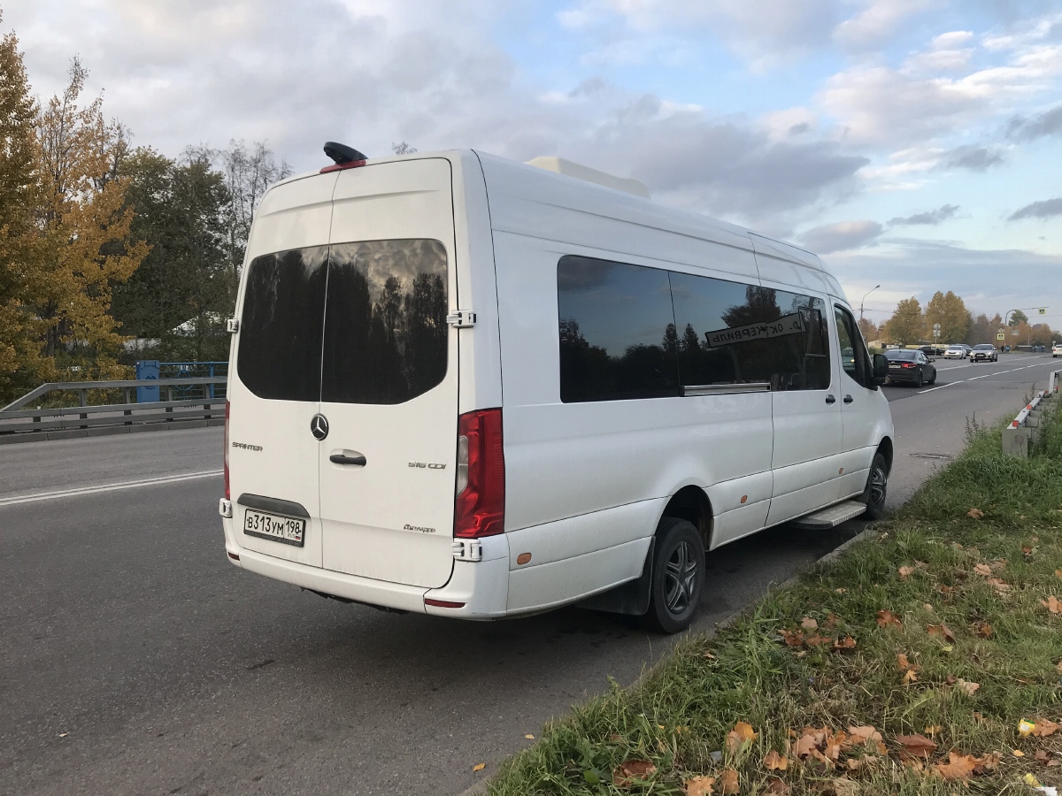 Санкт-Петербург, Луидор-223602 (MB Sprinter) № В 313 УМ 198