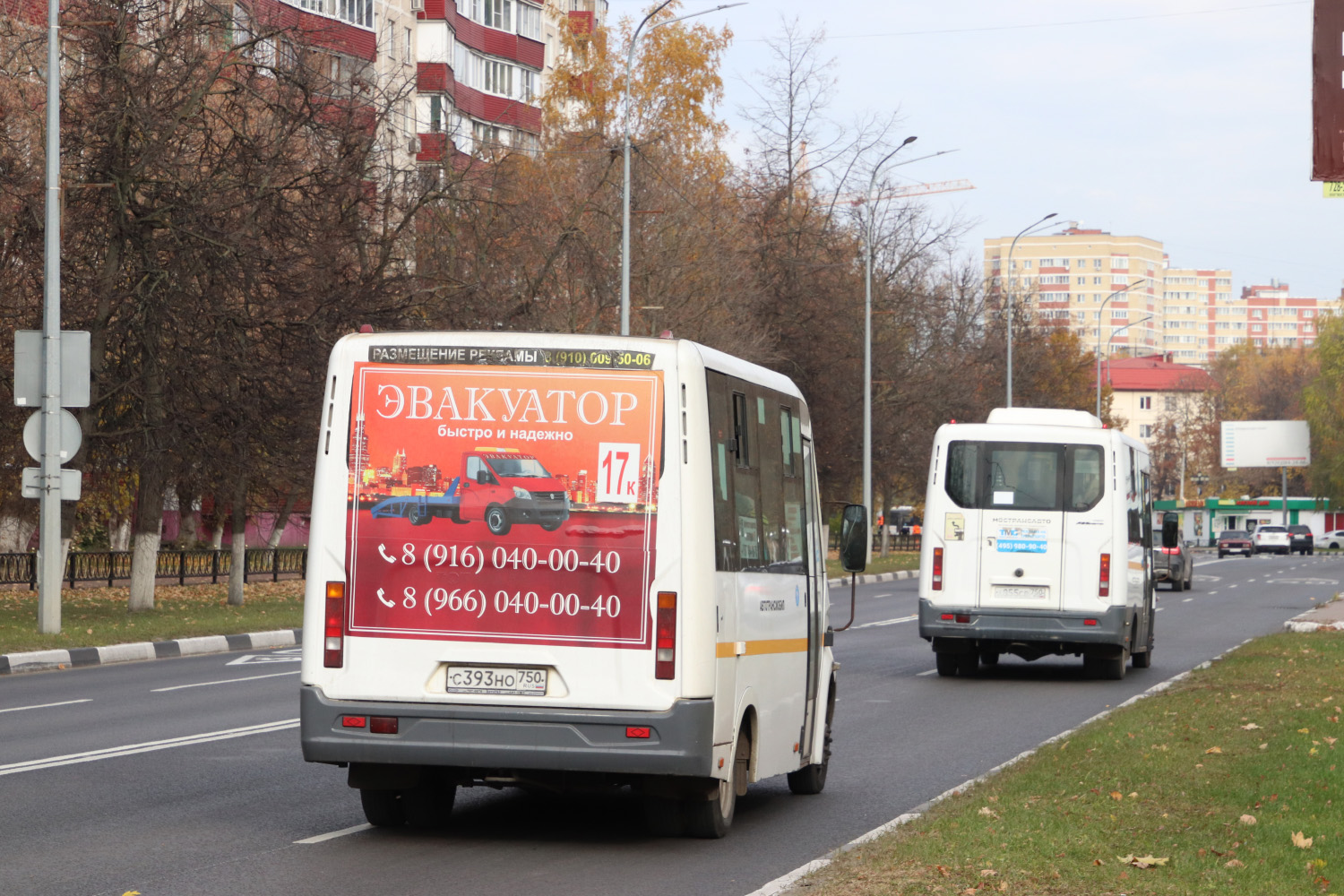 Московская область, ГАЗ-A64R42 Next № С 393 НО 750