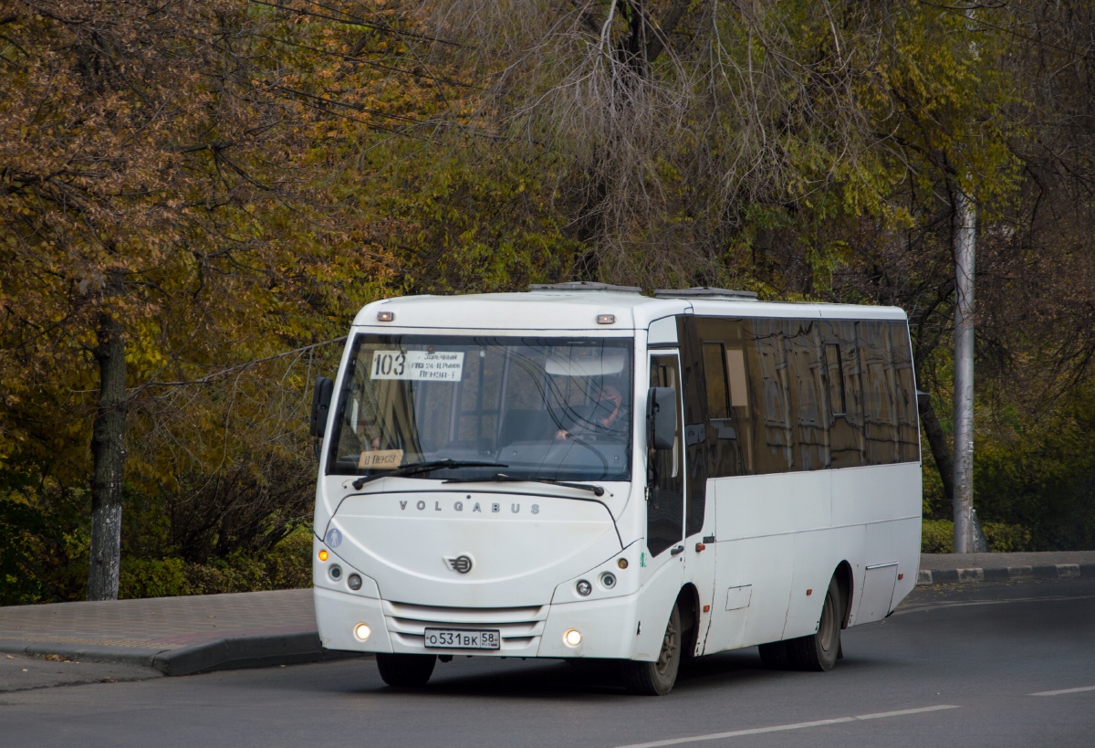 Пензенская область, Volgabus-4298.01 № 412