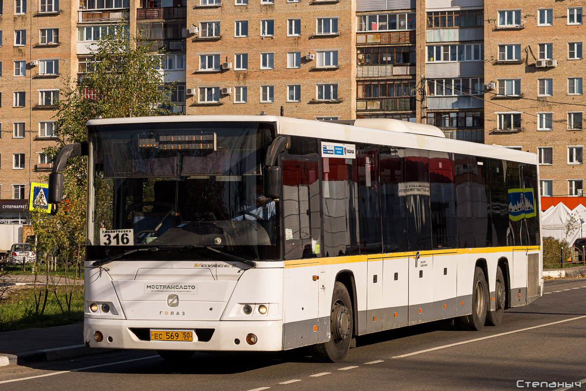 Moskauer Gebiet, GolAZ-622810-10 Nr. 5691