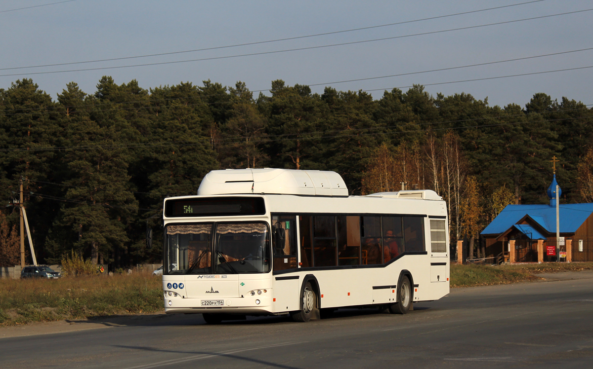 Новосибирская область, МАЗ-103.965 № 11011