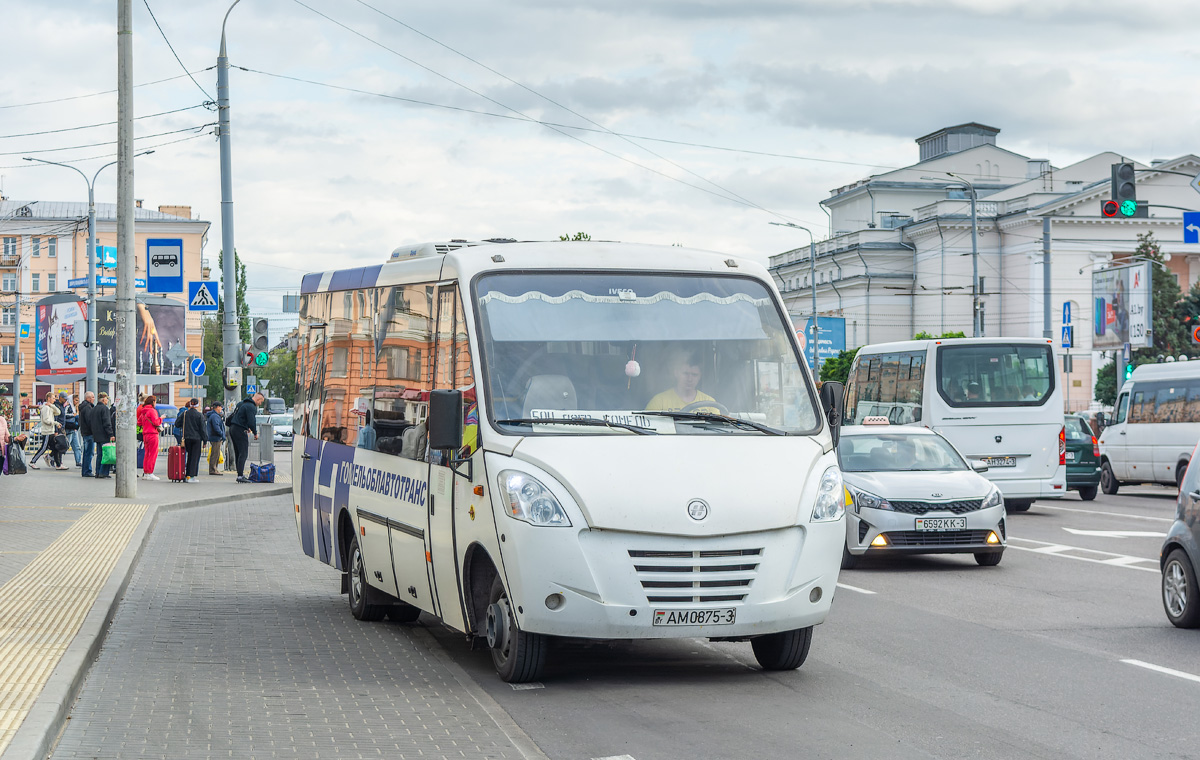 Гомельская область, Неман-420222 № АМ 0875-3