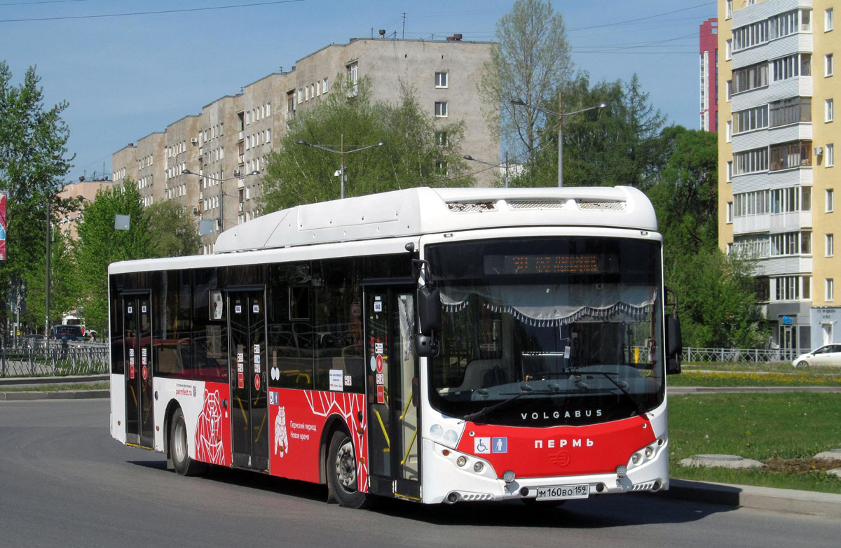 Пермский край, Volgabus-5270.G2 (CNG) № М 160 ВО 159