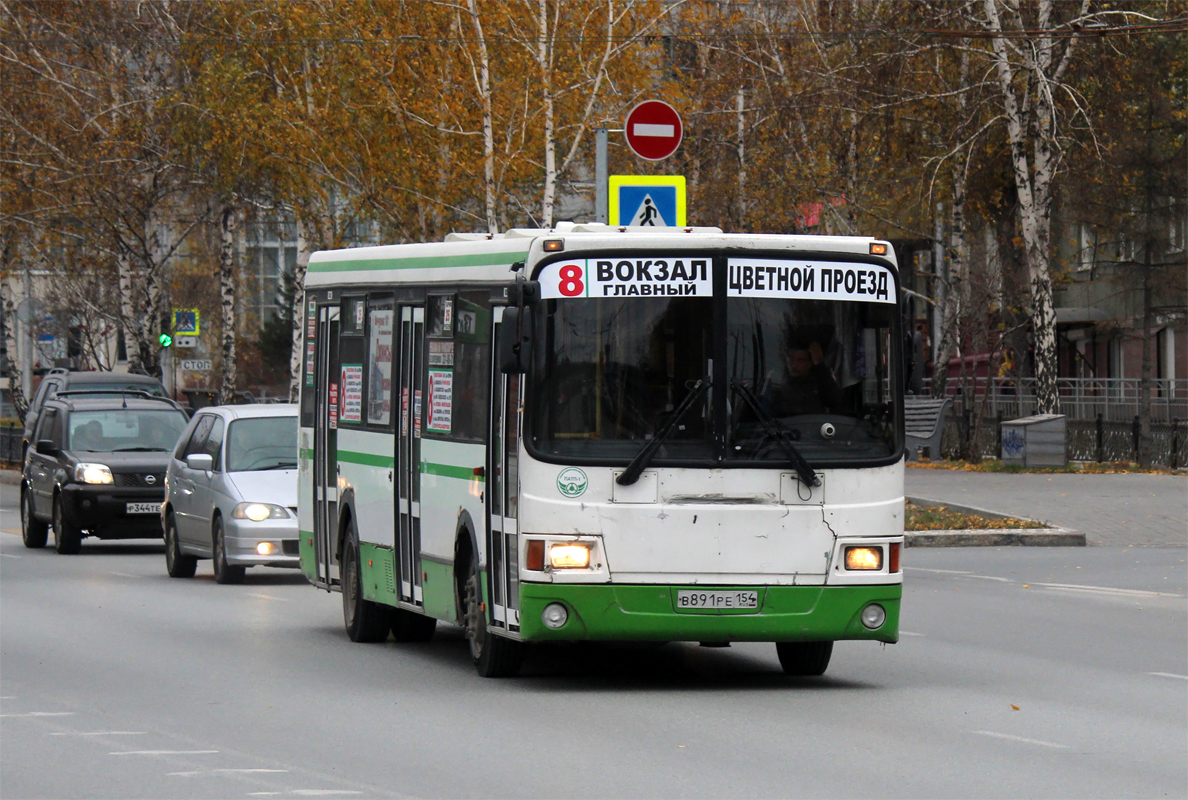 Новосибирская область, ЛиАЗ-5256.36 № В 891 РЕ 154