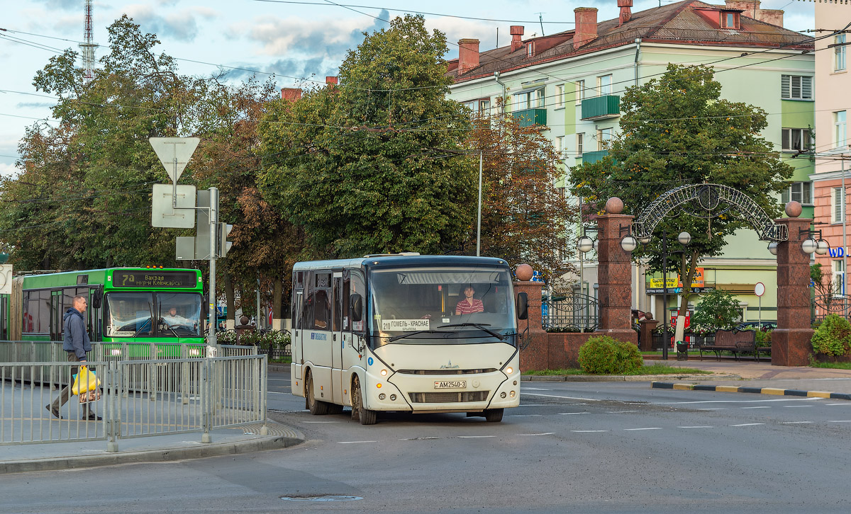 Гомельская область, МАЗ-241.030 № 015891