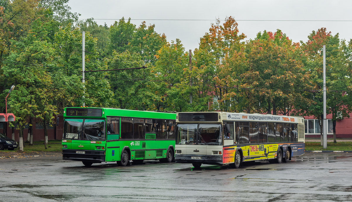 Гомельская область, МАЗ-107.065 № 11665