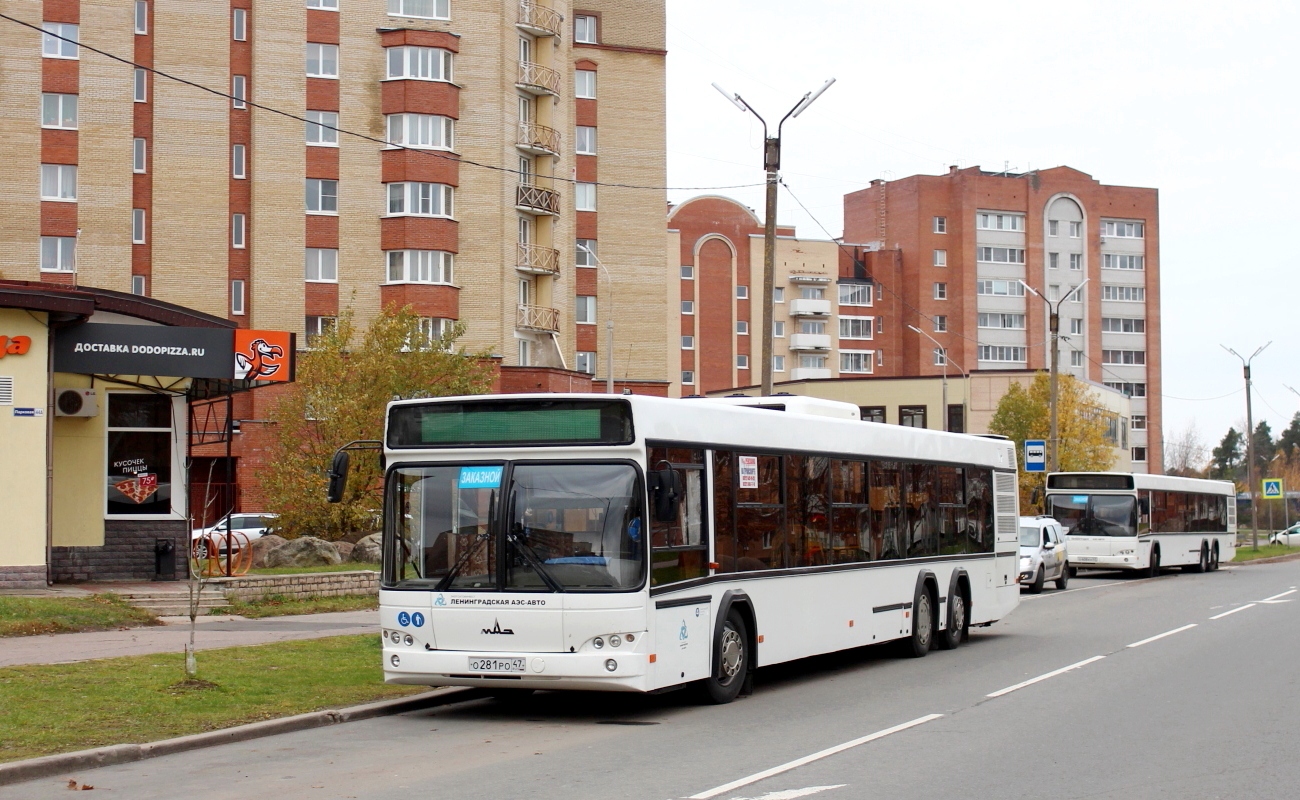 Ленинградская область, МАЗ-107.485 № О 281 РО 47