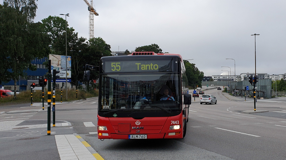 Швеция, MAN A21 Lion's City NL243 CNG № 7443