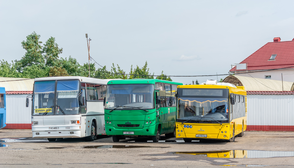 Брестская область, МАЗ-203.116 № 21820