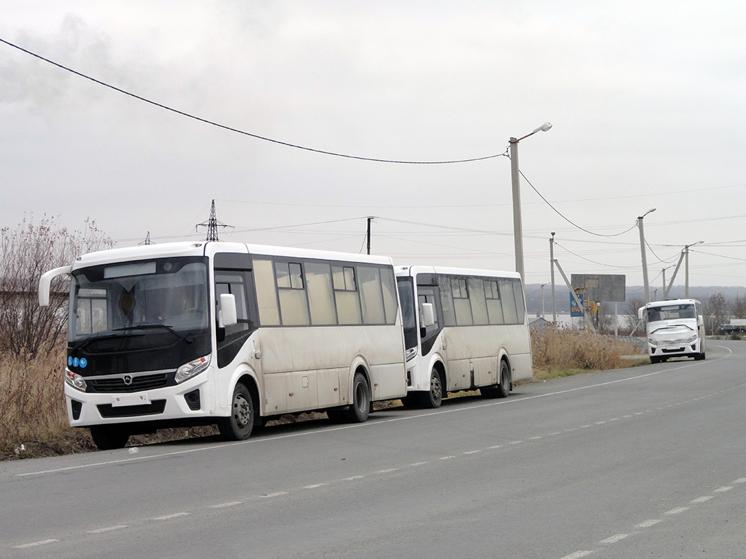 Приморский край — Новые автобусы