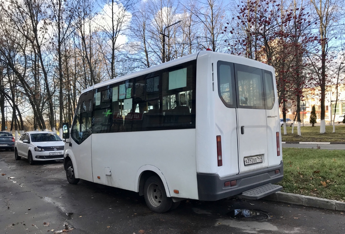 Ленинградская область, Луидор-225019 (ГАЗ Next) № А 392 ВВ 147