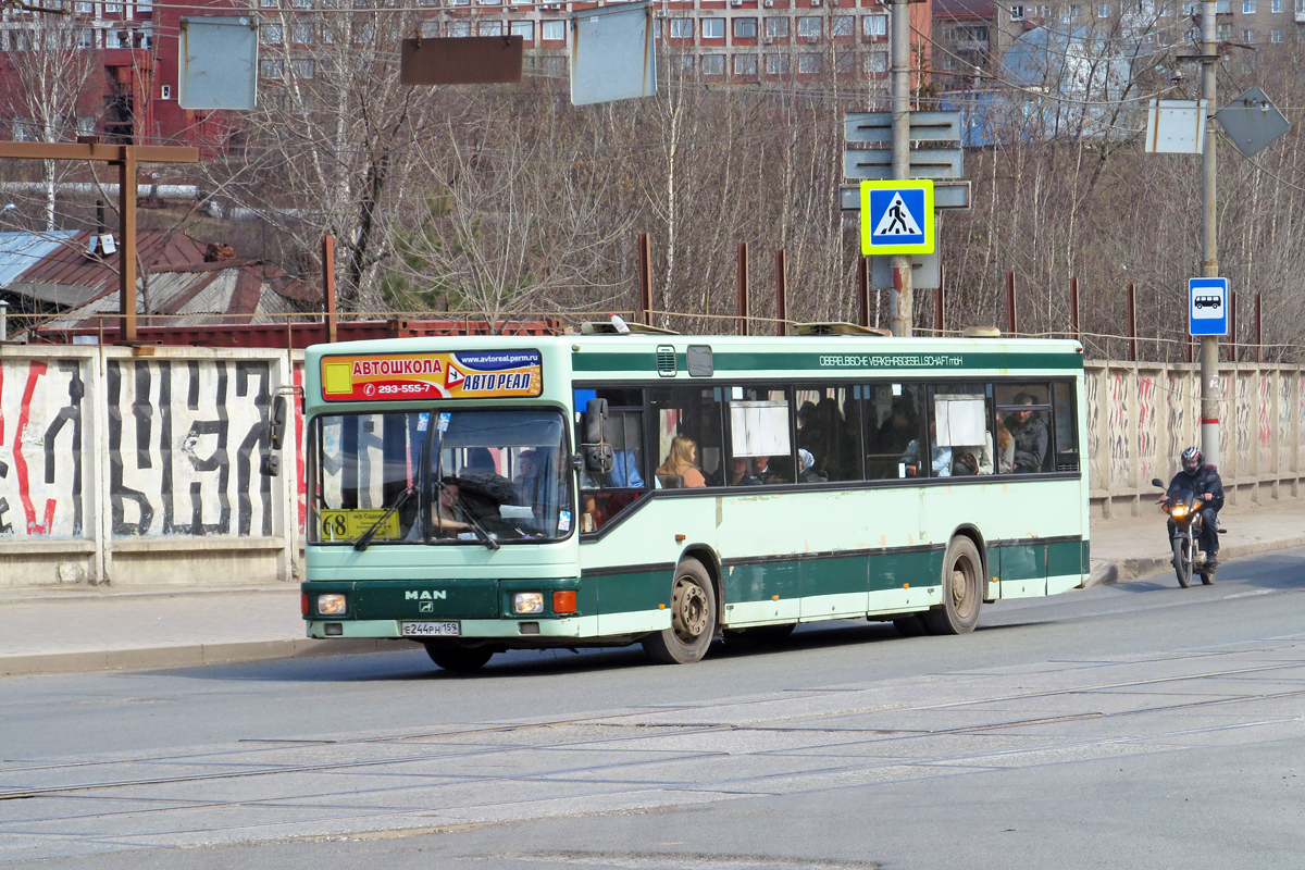 Пермский край, MAN A12 EL202 № Е 244 РН 159 Пермский край, MAN A12 EL202 № Е 244 РН 159