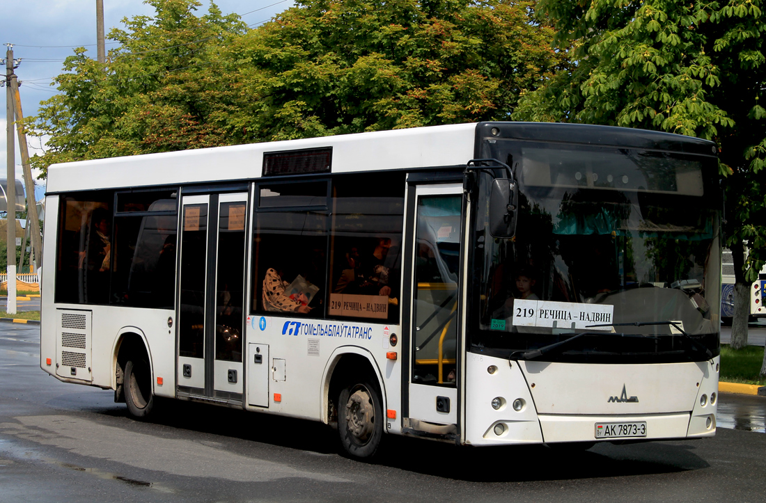 Гомельская область, МАЗ-206.067 № 014168