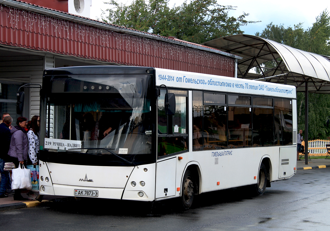 Гомельская область, МАЗ-206.067 № 014168