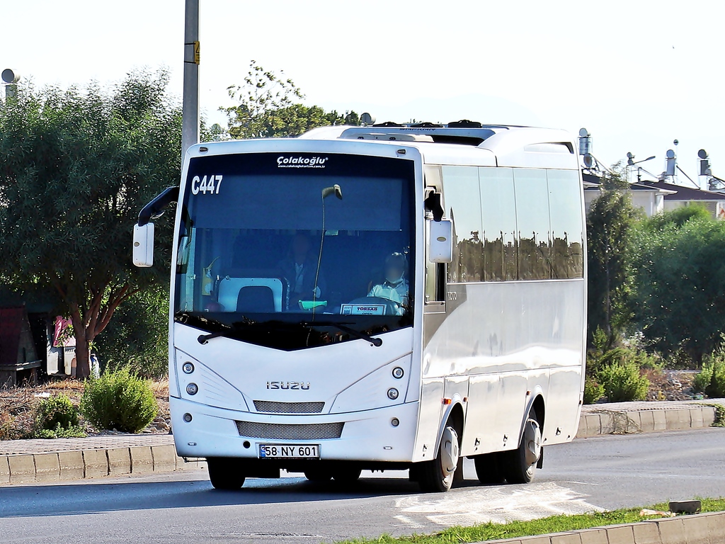Турция, Anadolu Isuzu Novo № C447