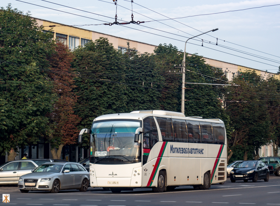 Могилёвская область, МАЗ-251.062 № 489