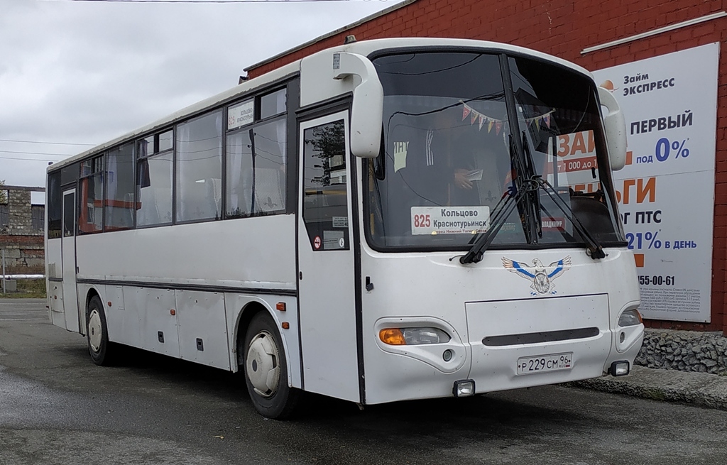 Свердловская область, КАвЗ-4238-02 № 85