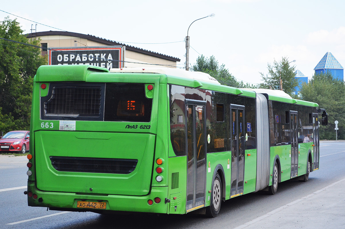 Тюменская область, ЛиАЗ-6213.65 № 663