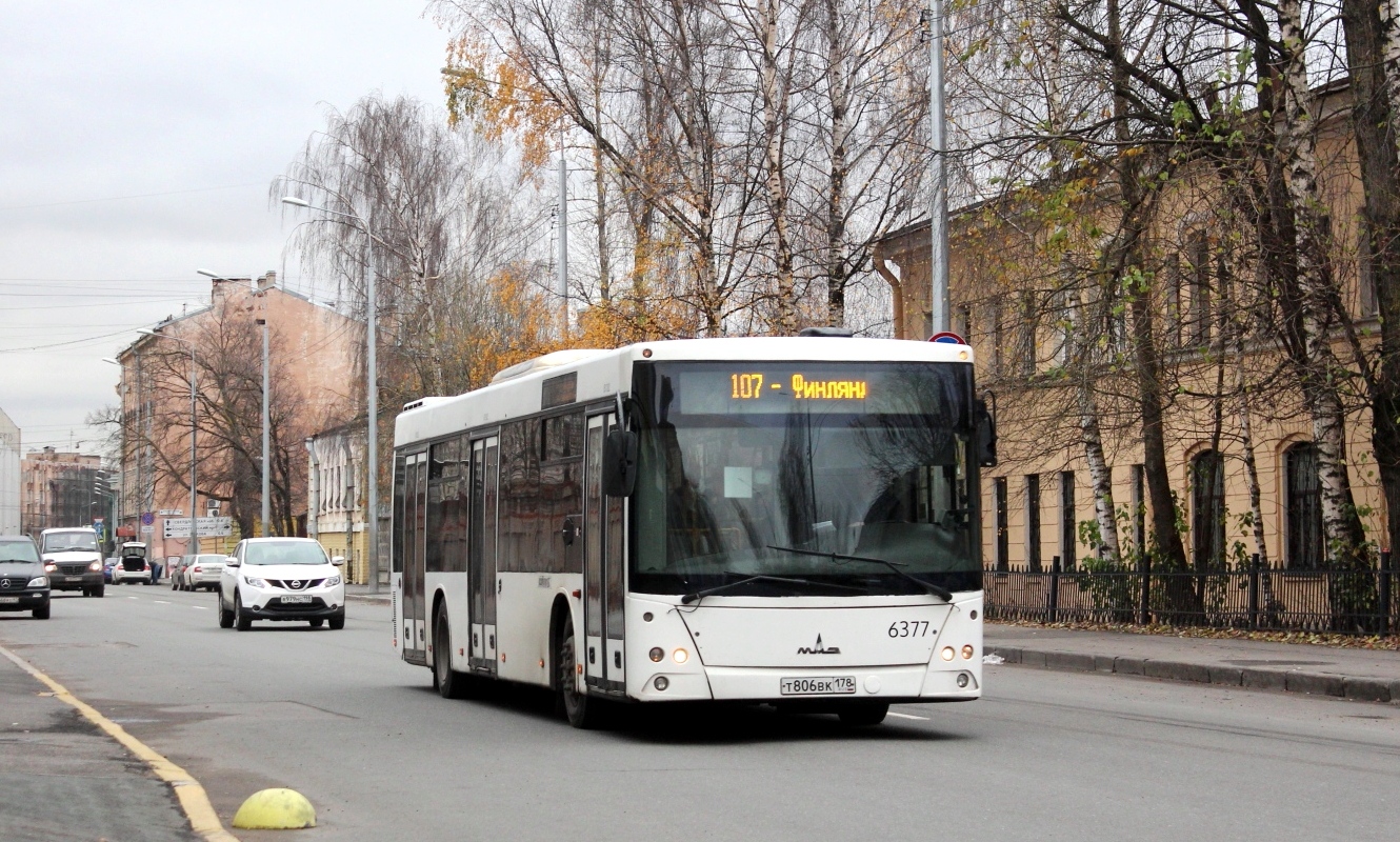 Санкт-Петербург, МАЗ-203.085 № 6377