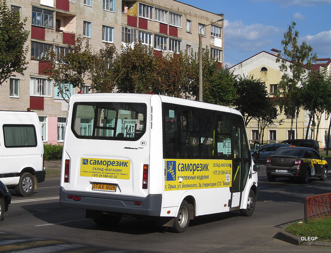 Витебская область, ГАЗ-A63R42 Next № 2 ТАХ 6028