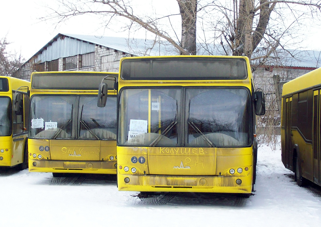 Маз 24. Маз 241. Маз 271067. Маз 104 omsi 2. Маз 6501в9-8420.