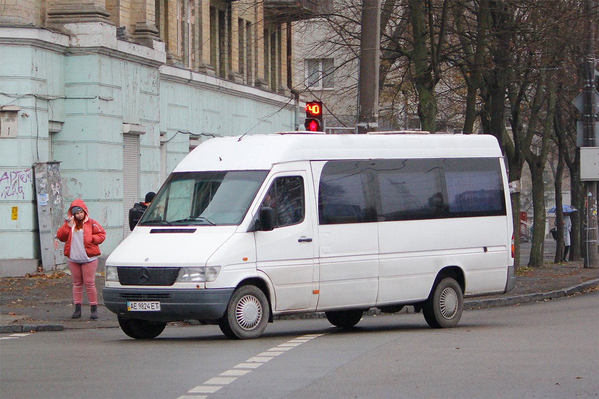 Днепропетровская область, Mercedes-Benz Sprinter W903 310D № AE 9824 ET