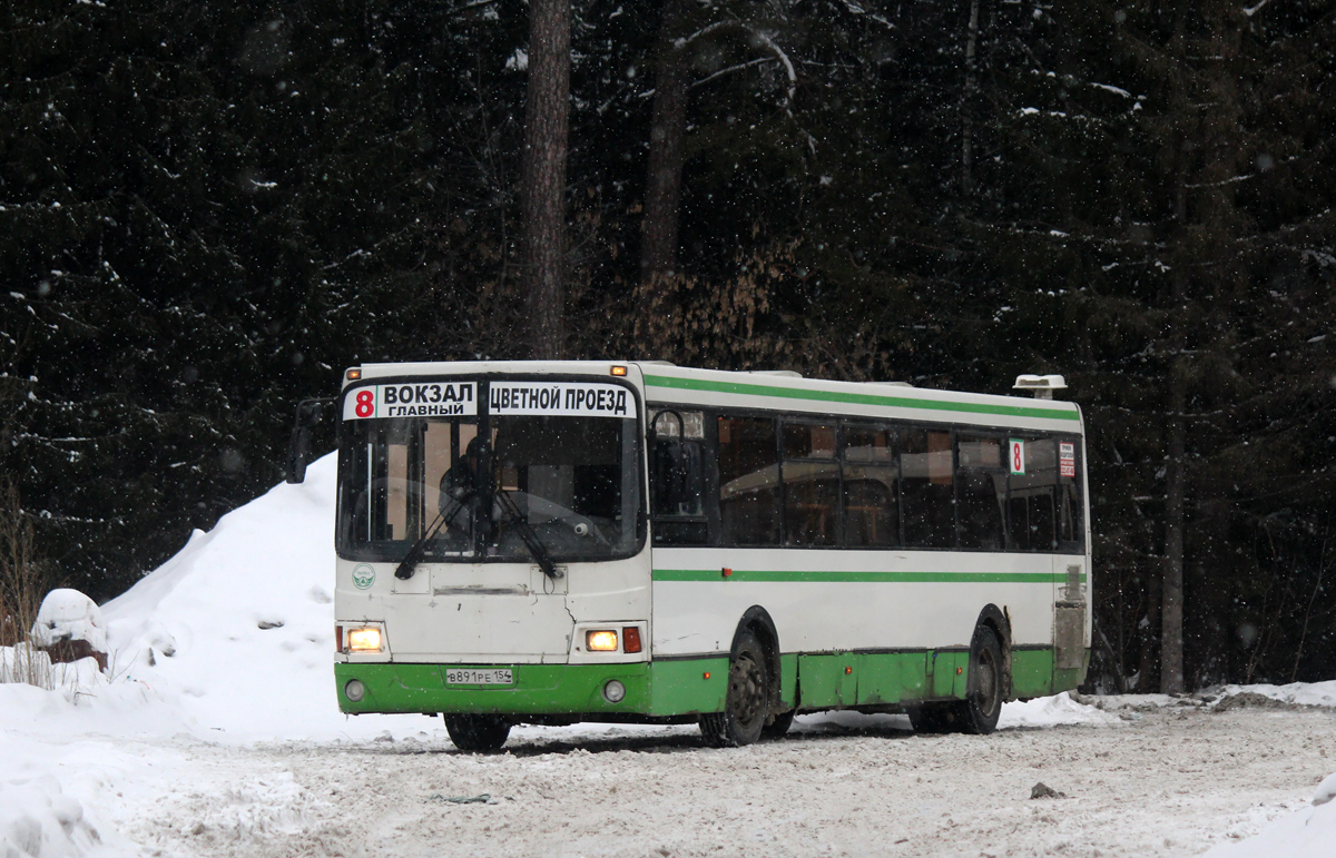 Новосибирская область, ЛиАЗ-5256.36 № В 891 РЕ 154