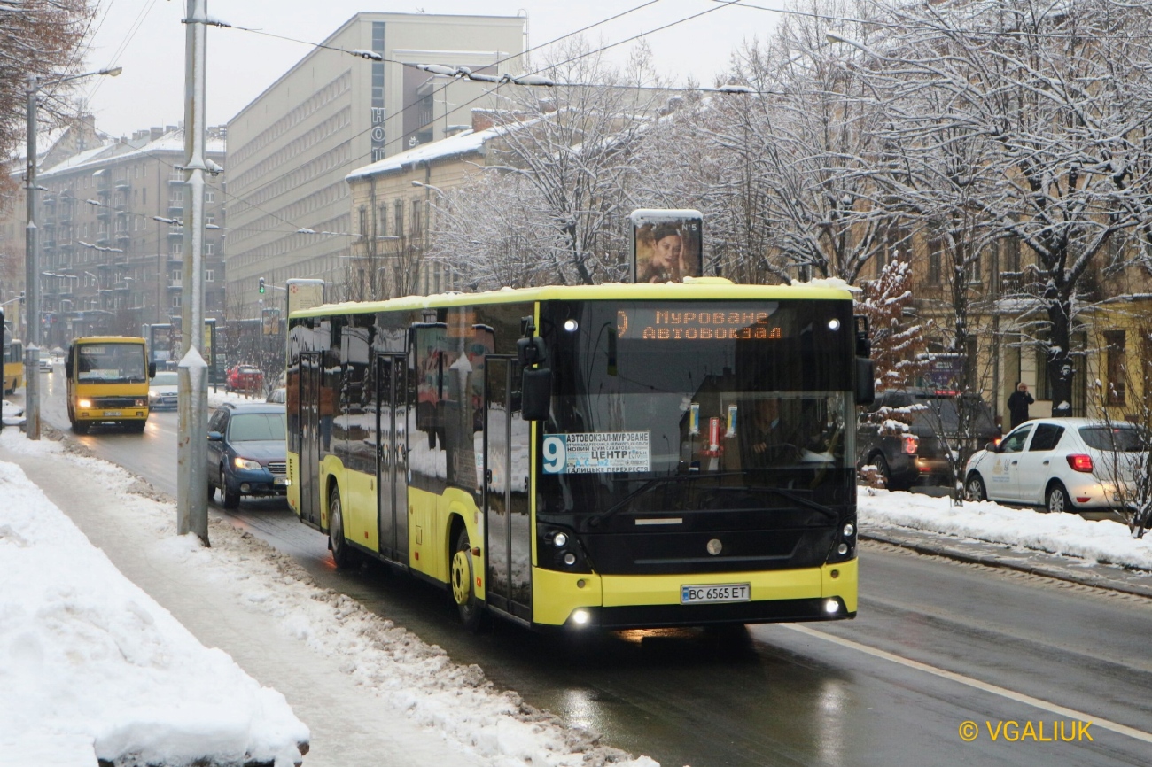 Львовская область, Електрон A18501 № BC 6565 ET