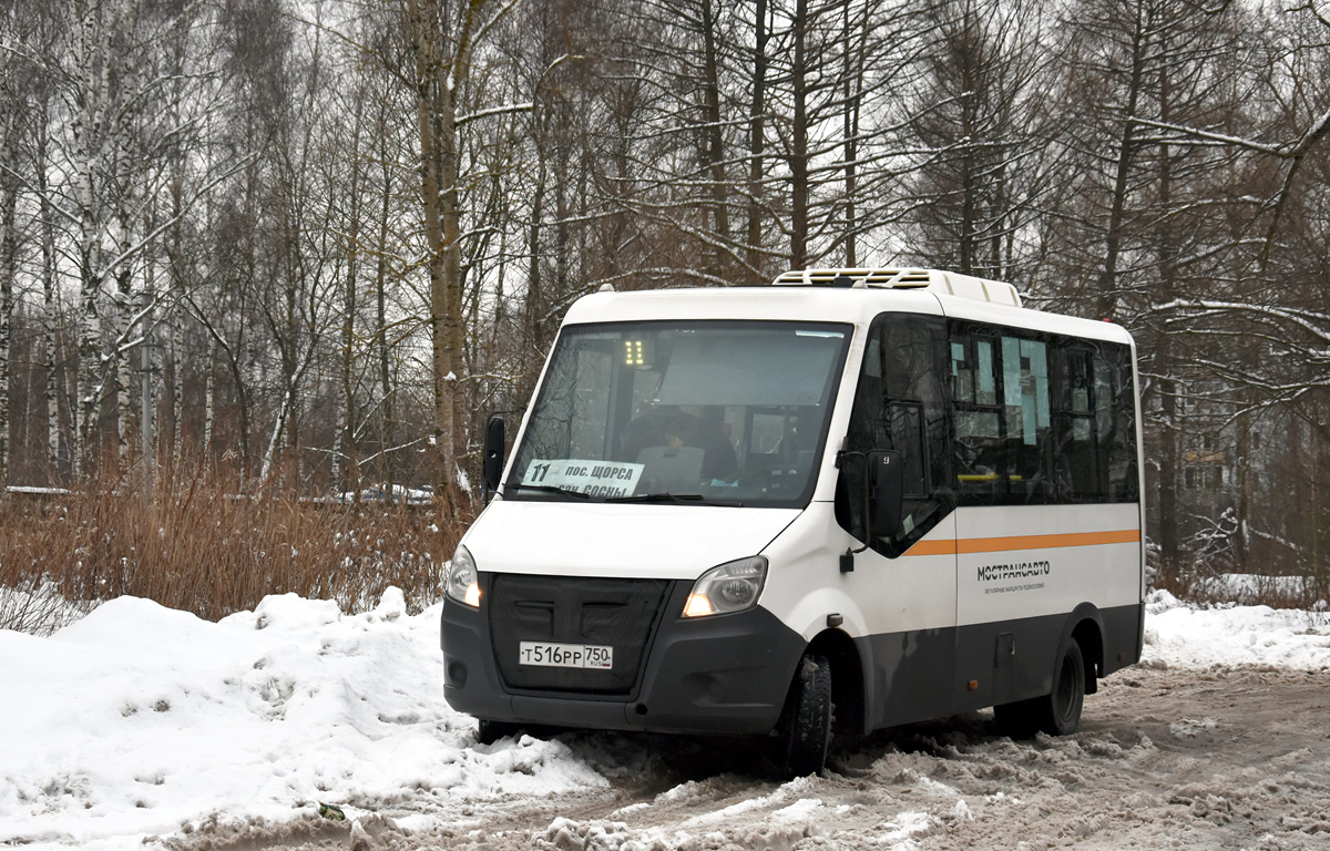 Московская область, Луидор-2250DS (ГАЗ Next) № Т 516 РР 750