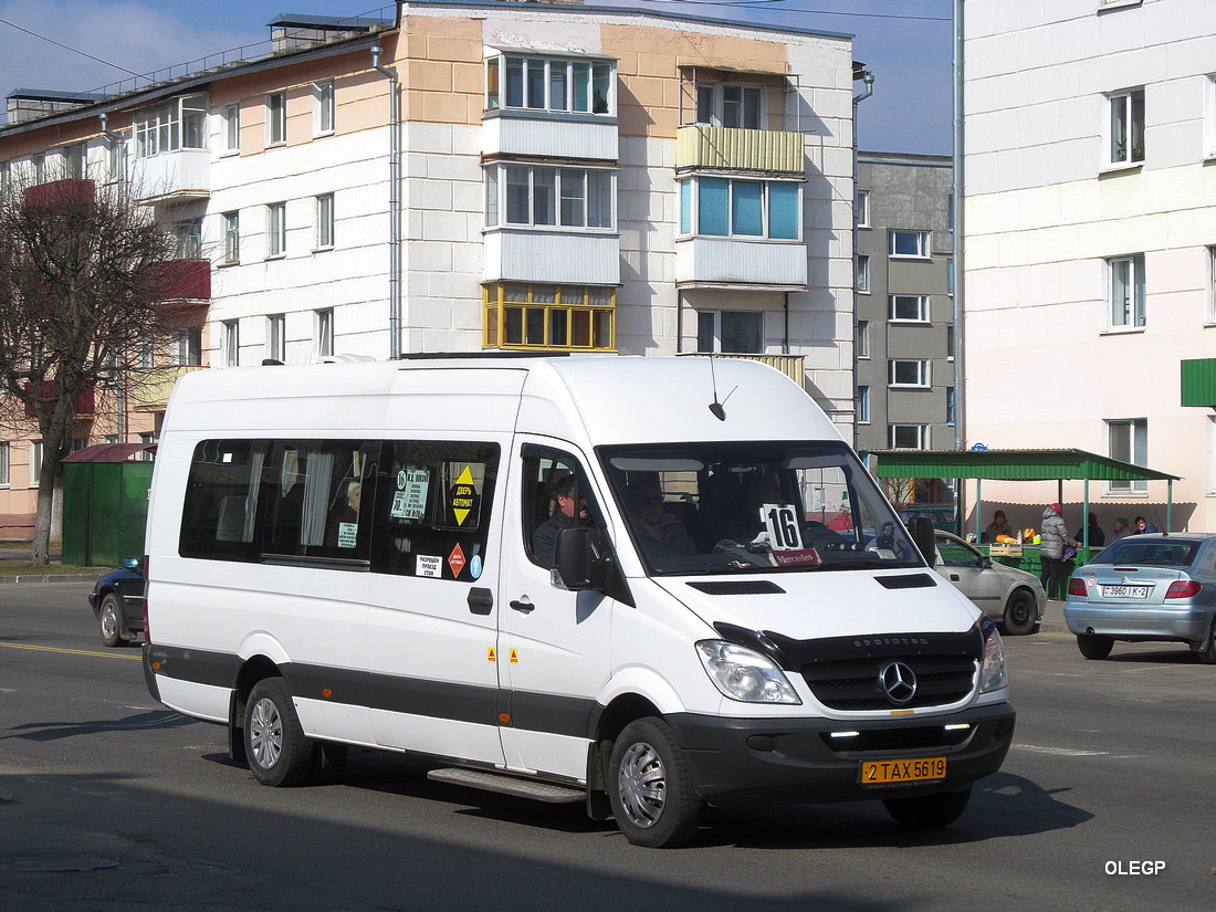 Витебская область, Луидор-2236* № 2 ТАХ 5619