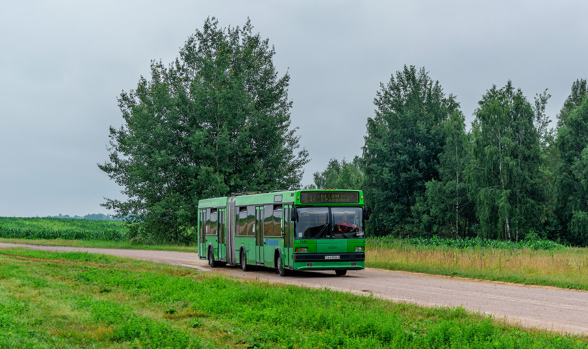 Гомельская область, МАЗ-105.060 № 1641