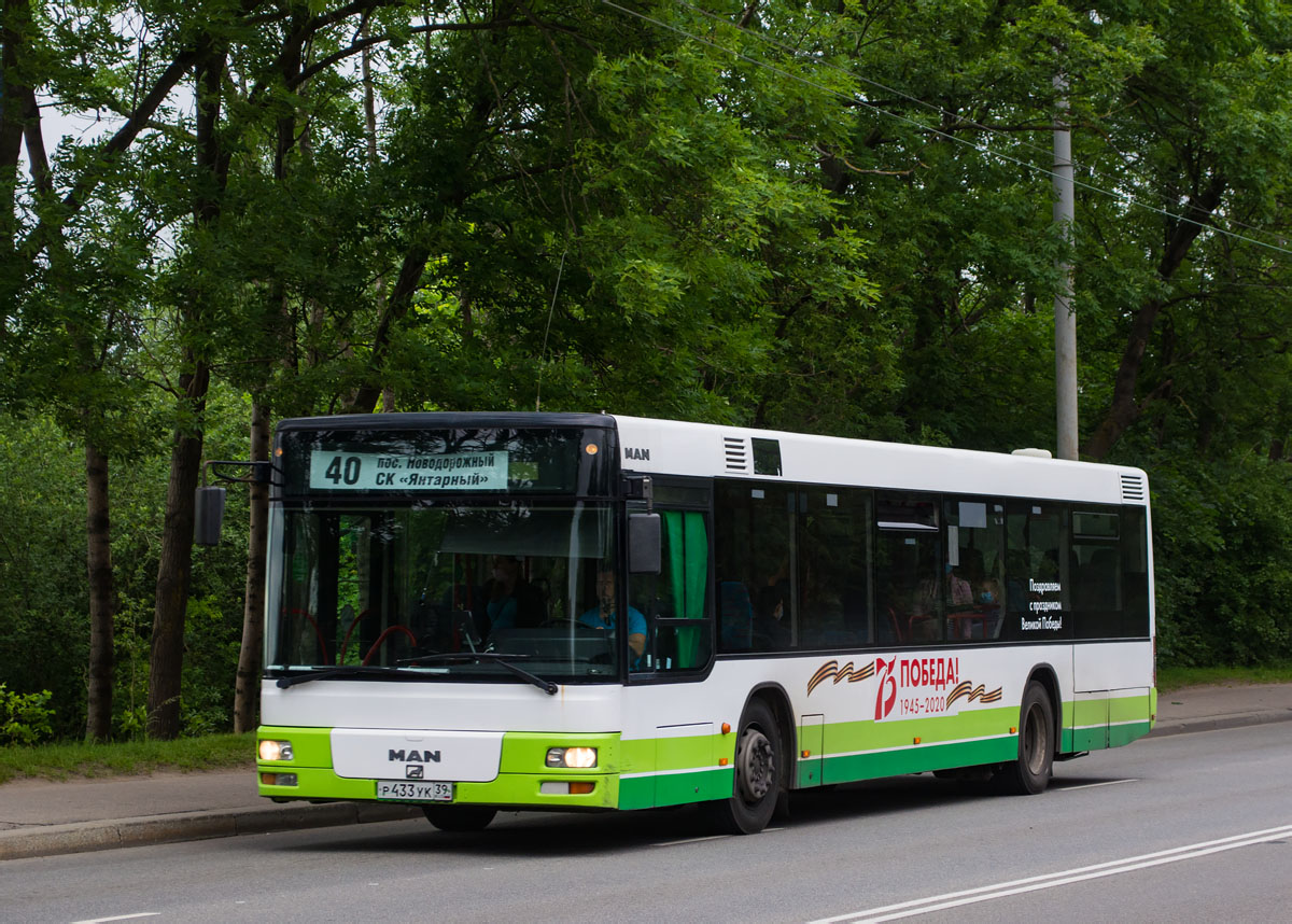 Kaliningrad region, MAN A21 NL263 # Р 433 УК 39